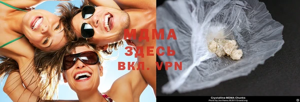 шишки Богородицк