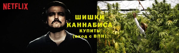 шишки Богородицк