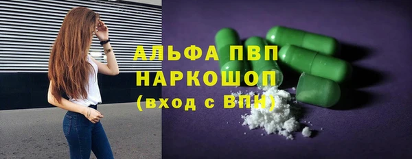 гашик Новодвинск