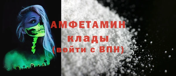 шишки Богородицк