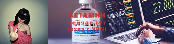 шишки Богородицк