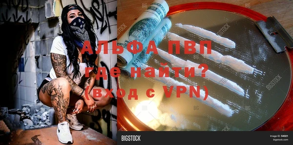 шишки Богородицк