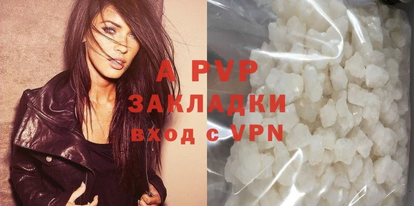 шишки Беломорск