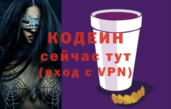 шишки Богородицк