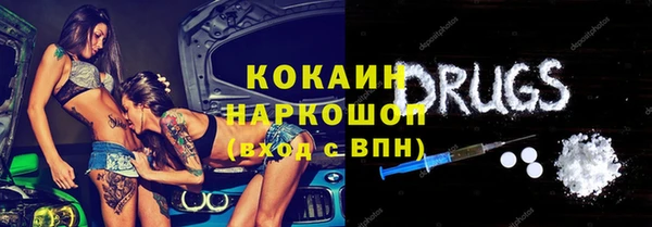 шишки Беломорск